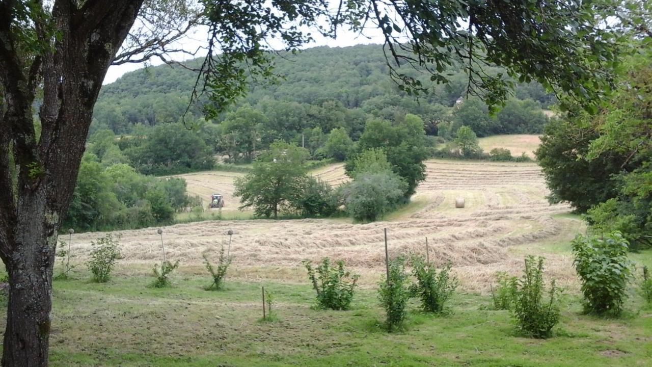 Les Trois Prunelles Saint-Pierre-Toirac 外观 照片