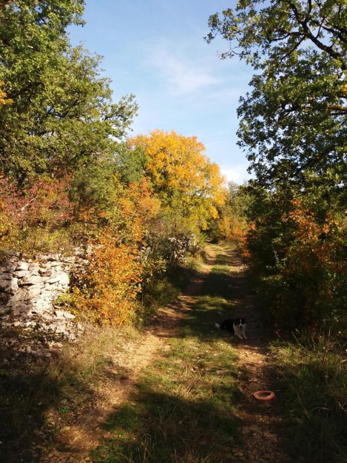 Les Trois Prunelles Saint-Pierre-Toirac 外观 照片
